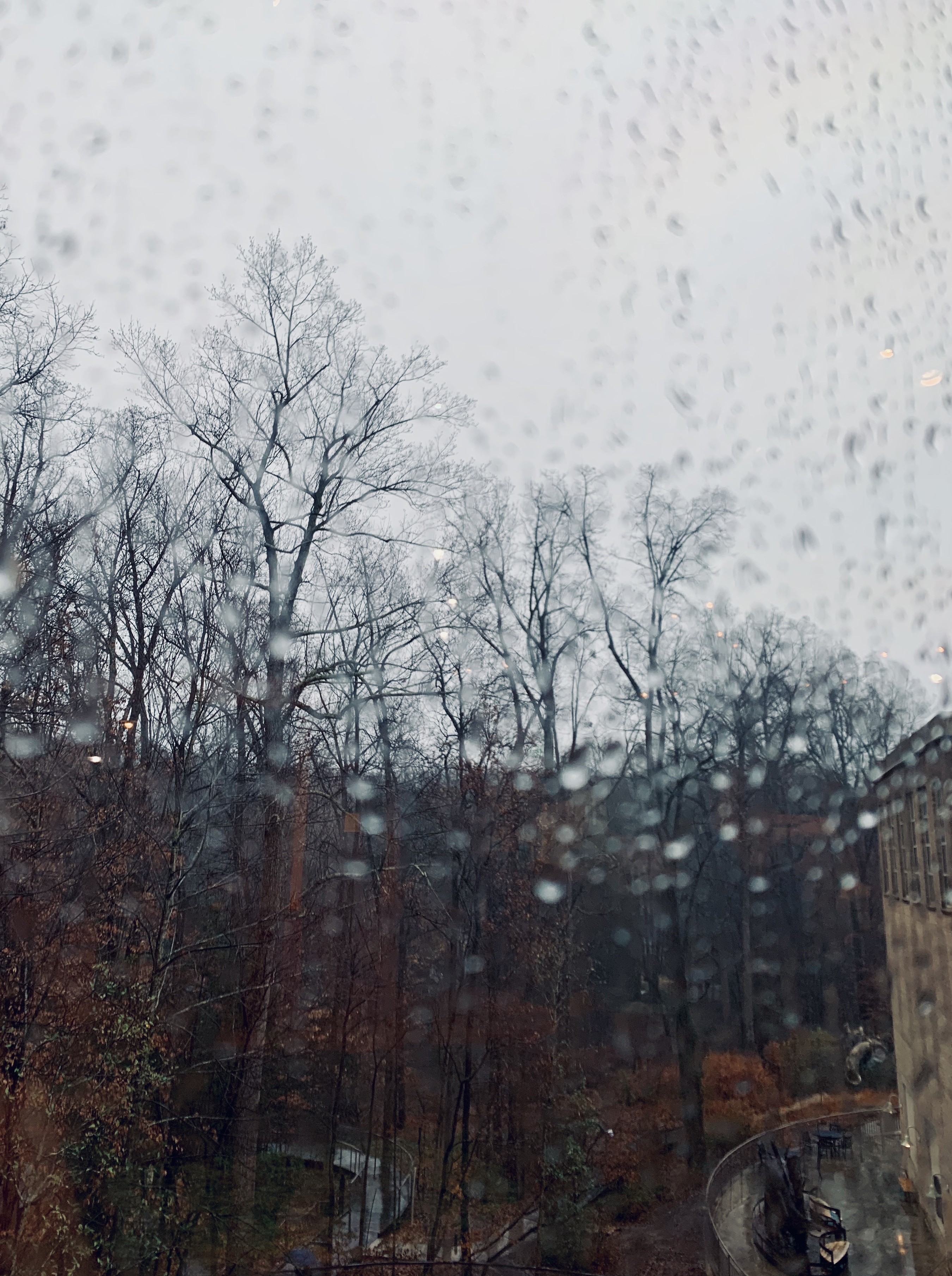 January Bad January is the Worst. – brooke's brain